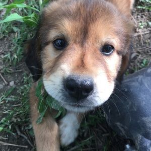 Meet your Posher, Julia